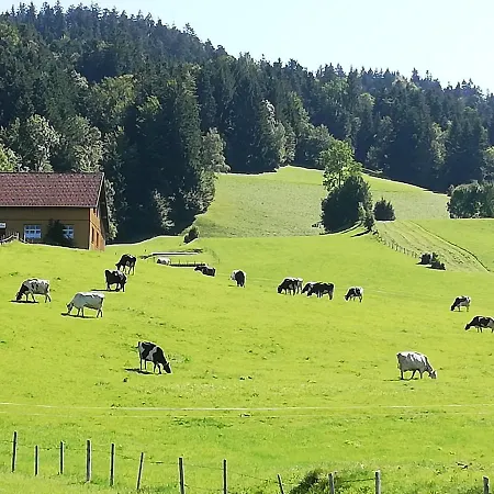 Gemütliche In Einfamilienhaus