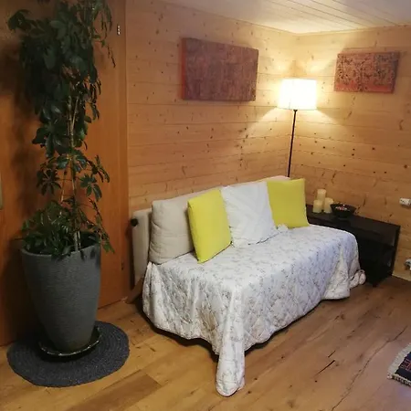 Apartment Gemuetliche In Einfamilienhaus Alberschwende